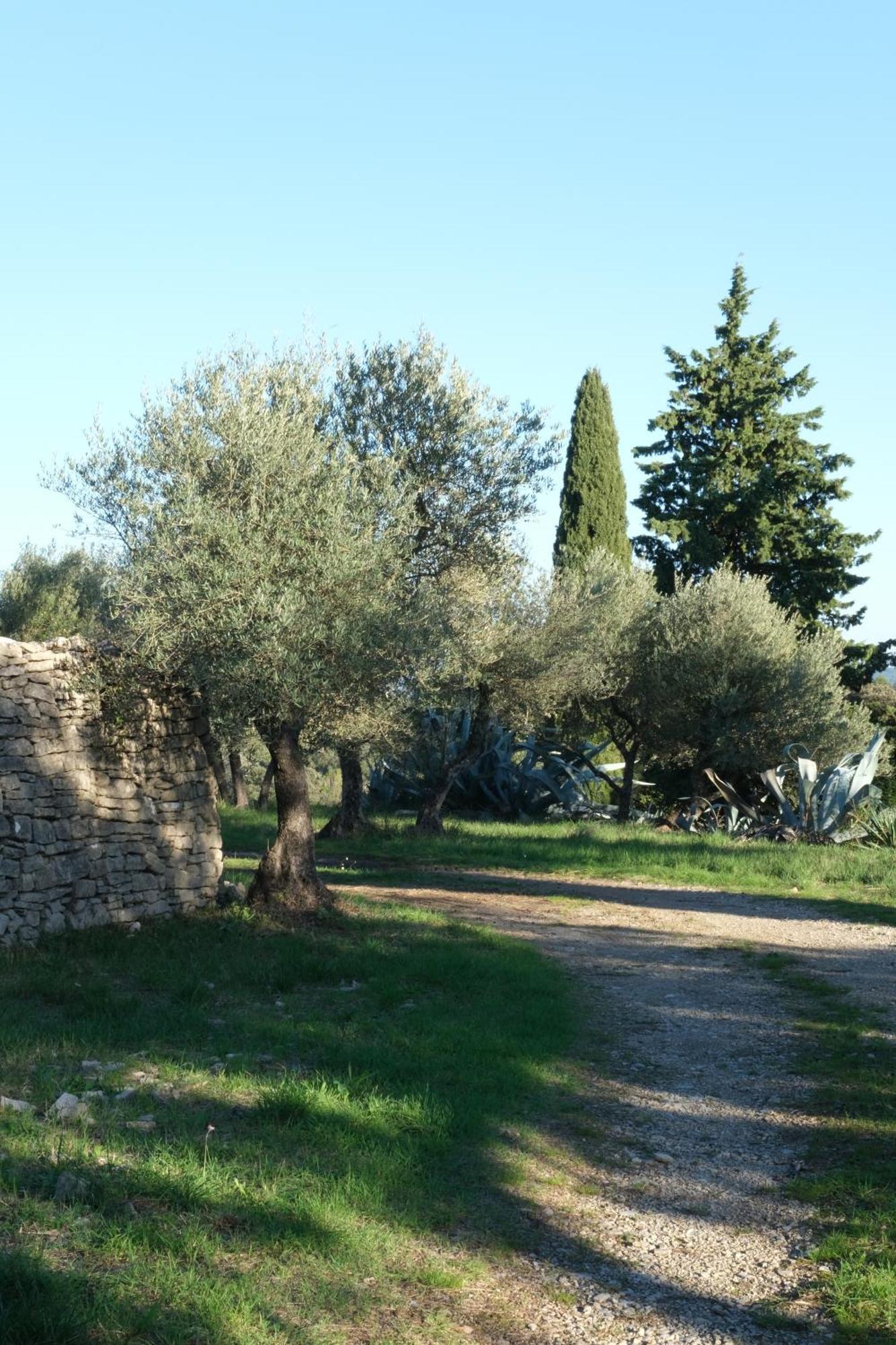 Gites Au Domaine De Baubiac Corconne Esterno foto